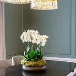 Amoure Hotel - The Leading Hotels Of The World Брага